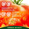 草原红太阳火锅汤料 草本汤料牛骨清汤60g 1人份去膻提鲜 麻辣烫底料 煮面汤 实拍图