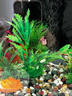 萌嘟星宠 仿真水草鱼缸造景套装水族箱布景装饰摆件假植塑料假水草 5件套 实拍图