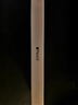 Apple/苹果 Pencil(第二代) 磁吸触控笔手写笔苹果笔电容笔书写绘画ipad笔 适用iPad Air五代 实拍图