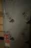 能见度可折叠榻榻米床垫专用定制定做 三折天然椰棕宿舍儿童1.5x2打地铺 七代防螨·云朵白6cm【单金原生椰棕】 三折叠·易收纳·可定制任意尺寸·形状 实拍图