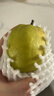 京鲜生 新疆库尔勒香梨 净重10斤 一级 单果100-120g 生鲜水果 实拍图