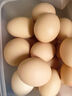 1号会员店富硒鲜鸡蛋30枚 源头直发 净重3斤 实拍图