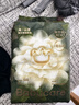 babycare金山茶花纸尿裤S58片(4-8kg)新生儿婴儿尿不湿超薄透气轻柔花苞裤 实拍图