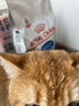 皇家室内成猫粮 I27 通用粮 12月以上 2KG 实拍图