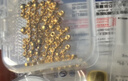 洲足金999金珠黄金小金珠金豆古法金珠DIY配件散珠隔珠路路通转运珠 3mm金珠  合单满 0.16g 包邮 单颗约0.02g 实拍图