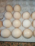 京鲜生【供港品质】【每日鲜蛋】叶黄素可生食鸡蛋30枚3.78斤/盒 礼盒  实拍图