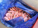 仁豪水产 头籽北极甜虾熟冻冰虾净重3斤 80/100 头籽率80% 年货送礼 聚餐 实拍图