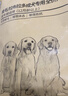好主人 金毛拉布拉多成犬专用狗粮狗干粮全价大型犬专用粮10kg/20斤 实拍图