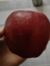 京鲜生 甘肃天水花牛苹果 又大又红 净重10斤 单果200g以上 新鲜水果  实拍图
