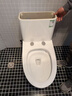 九牧（JOMOO）11173-2-1/31KD-3大力神家用马桶虹吸抗菌节水洁具305坑距 实拍图