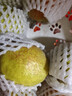 京鲜生 新疆库尔勒香梨 净重8斤 单果120g+ 生鲜水果  春节也送货 实拍图