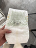 babycare金山茶花婴儿纸尿裤mini装S30片(4-8kg)新生儿尿不湿【新老混发】 实拍图