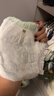 babycare金山茶花拉拉裤L38片(9-14kg)婴儿尿不湿超薄透气新生柔花苞裤 实拍图