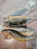 黄小渔宁德三去黄花鱼600g/4条大黄鱼生鲜海鲜水产深海鱼类烧烤年货送礼 实拍图