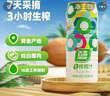 百森生榨椰汁植物蛋白饮品960ml*6罐装 实拍图