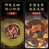 鸿韵清新特级15年陈皮普洱+新会小青柑茶饼柑普熟茶叶国庆送礼盒装500g 实拍图