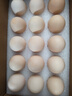 1号会员店可生食鸡蛋30枚净重3.6斤精选大码蛋礼盒装 源头直发 实拍图