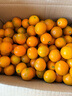京鲜生 云南油皮金桔/金橘 净重2斤 单果12g起 生鲜水果 实拍图