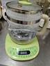 小熊（Bear）养生壶烧水壶恒温煮茶壶多档保温烧水炖煮壶一体多功能电热水壶花茶壶办公室玻璃烧水养生壶0胶水 YSH-B18T1【配实用滤网+蛋架】 1.5L 绿色 实拍图