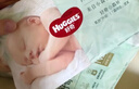 好奇（Huggies）小森林纸尿裤L40片(9-14kg)尿不湿心钻【透氧顶配更低敏】 实拍图