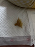 世喜乳盾新生儿0-3个月乳盾新生儿超薄超软乳头保护罩双层乳盾矫正器 实拍图