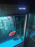 森森鱼缸水族箱加热棒自动恒温防爆乌龟缸加温棒小型鱼缸加热器500W 实拍图