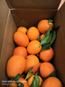 渝奉顺丰正宗重庆奉节脐橙薄皮大果现摘孕妇水果新鲜当季10斤20甜橙子 【大果80-85】纽荷尔/推荐款 带箱子20斤 实拍图