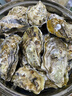 贝司令 鲜活乳山生态生蚝4XL 净重4斤 8-11只 生鲜源头直发年货送礼 实拍图