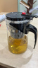 飘逸壶泡茶壶耐热高温玻璃沏茶过滤内胆冲茶器家用茶具套装 飘逸杯500mL1个 实拍图