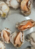 福字号冷冻扇贝肉带黄带卵净重2斤100-140粒生鲜贝类海鲜年货送礼 实拍图