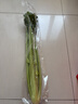 大芹菜约400g 实拍图