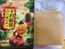 十月稻田 内蒙古黄小米 2斤 养胃早餐煮粥 五谷杂粮 低脂粗粮 米油醇厚 实拍图