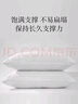 睡眠博士（AiSleep）枕芯 枕头决明子荞麦枕 舒睡成人颈椎枕 实拍图