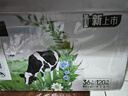伊利金典纯牛奶整箱 200ml*24盒 3.6g乳蛋白 原生高钙 年货礼盒装 实拍图