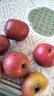 2025正宗云南昭通冰糖心丑苹果新鲜水果苹果当季脆甜水果产地直发 1斤装小果（60-70mm） 实拍图