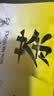 同仁堂红豆薏米茶祛身湿茶除去气湿茶健排脾湿芡实茯苓男女养生茶 实拍图