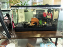 阔庭（KUOTING）鱼缸桌面透明生态鱼缸客厅水族箱黑色 实拍图