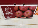京鲜生 烟台红富士苹果 净重10斤 单果190g以上 生鲜水果 礼盒装 实拍图