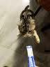 猫条猫零食补充营养味美妙鲜湿粮包猫罐头猫条100支整箱猫咪零食 猫条三文鱼磷虾口味【15g*30支】 实拍图