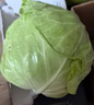 绿甘蓝约1kg 实拍图