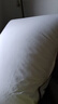 水星家纺枕头枕芯酒店枕头护颈枕头芯家用单个纯棉抗菌可水洗中枕48x74cm 实拍图