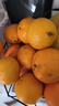 正宗云南宾川沃柑应季新鲜水果酸甜多汁整箱包邮 3斤装 实拍图