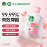 滴露（Dettol）洗手液抑菌杀菌消毒滋润500g+500g 补充装儿童家庭护手替换 实拍图
