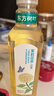 农夫山泉直播专享东方树叶茉莉花茶900ml*12瓶无糖茶饮料0糖0脂0卡整箱装 实拍图