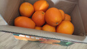 玖原农珍 赣南脐橙新鲜橙子含箱10斤净重9斤优选果150-300g 年货水果礼盒 实拍图