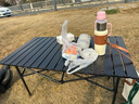 菱动力露营桌蛋卷桌户外折叠桌椅子野餐摆摊烧烤旅行野炊便携式桌椅 实拍图