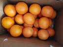 京觅江西赣南脐橙 4.5斤净重橙子单果200g起 年货纽荷尔水果源头直发 实拍图