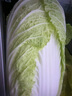 云南高原娃娃菜新鲜蔬菜生鲜乾隆白菜早餐火锅必备产地直发 浅黄色 新鲜娃娃菜3颗装*1包 实拍图