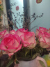 玫瑰10枝装云南鲜花直发节日鲜花礼物花束家用38女神妇女节礼物 黄玫瑰10枝 实拍图