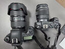 佳能（Canon）EOS RP 全画幅微单数码相机 单机身（ 约2620万像素/轻巧便携） 实拍图